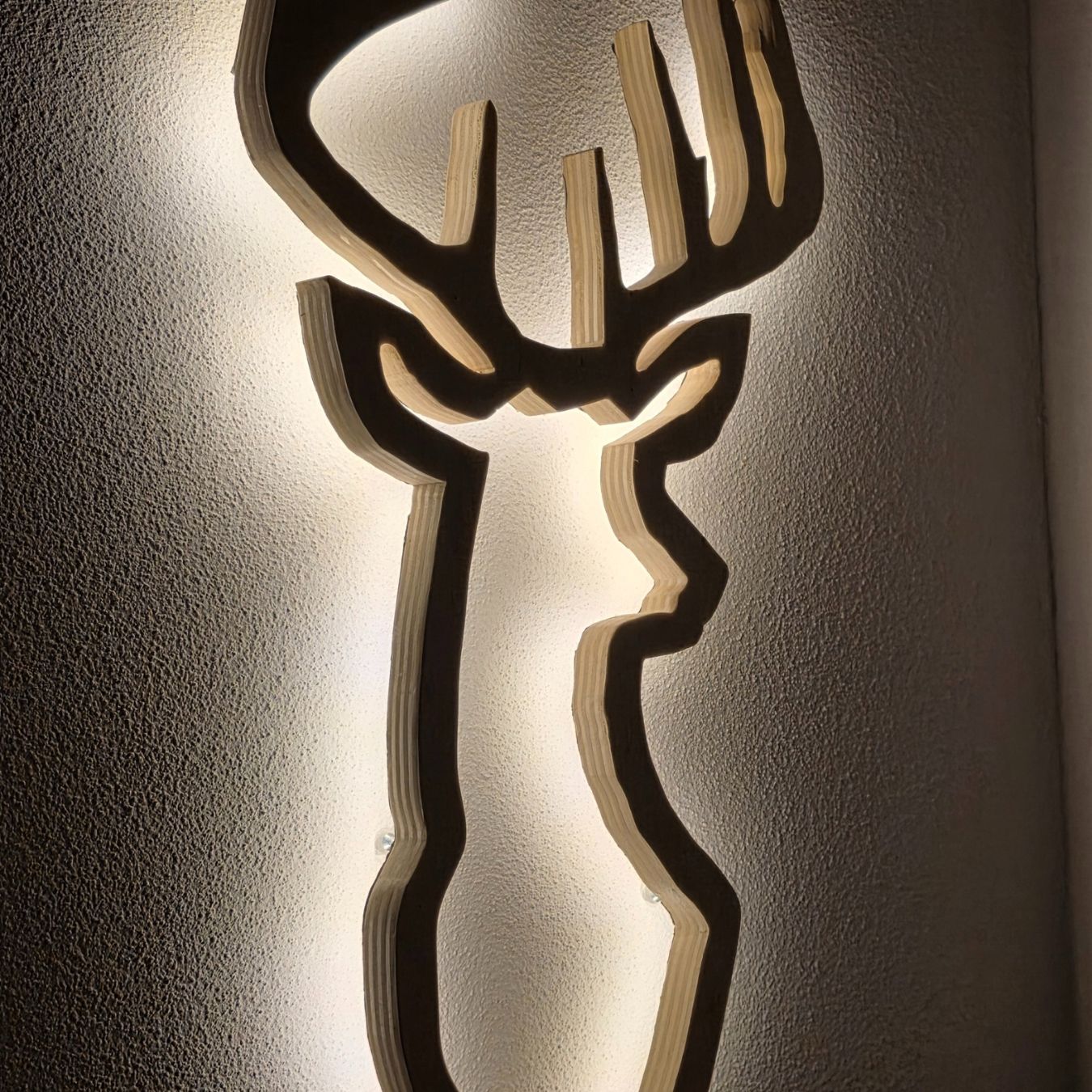 51